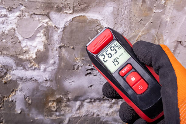 Best Fast Mold Removal  in Hondo, TX